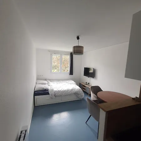 Dans Pour Location Courte Duree Et Etudiants Parking Gratuit 公寓 日尔